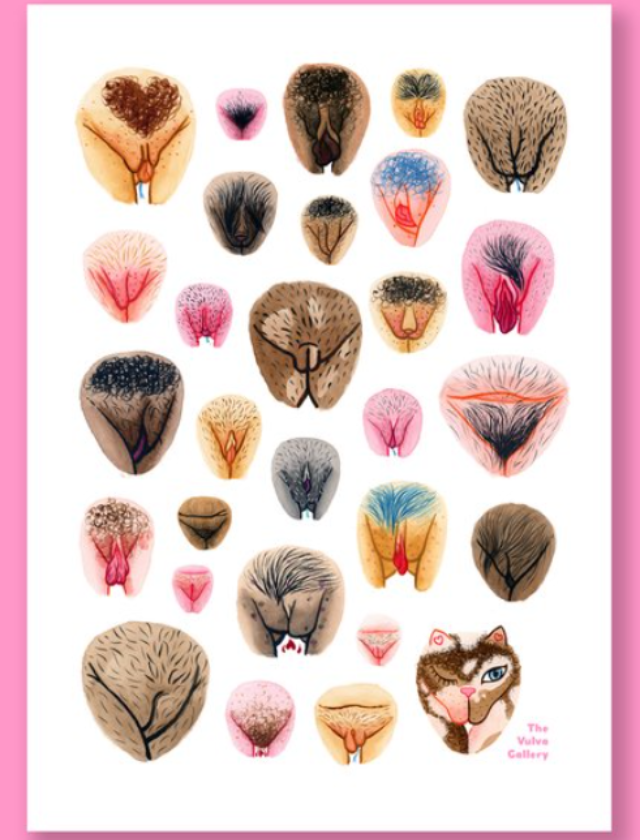 Poster Vulva Variations