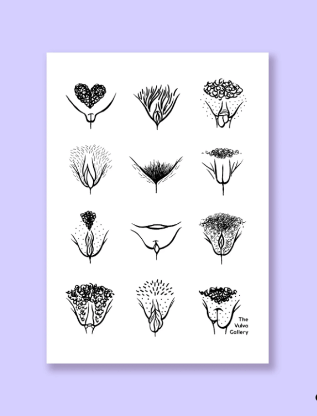 Poster Vulves minimalistes