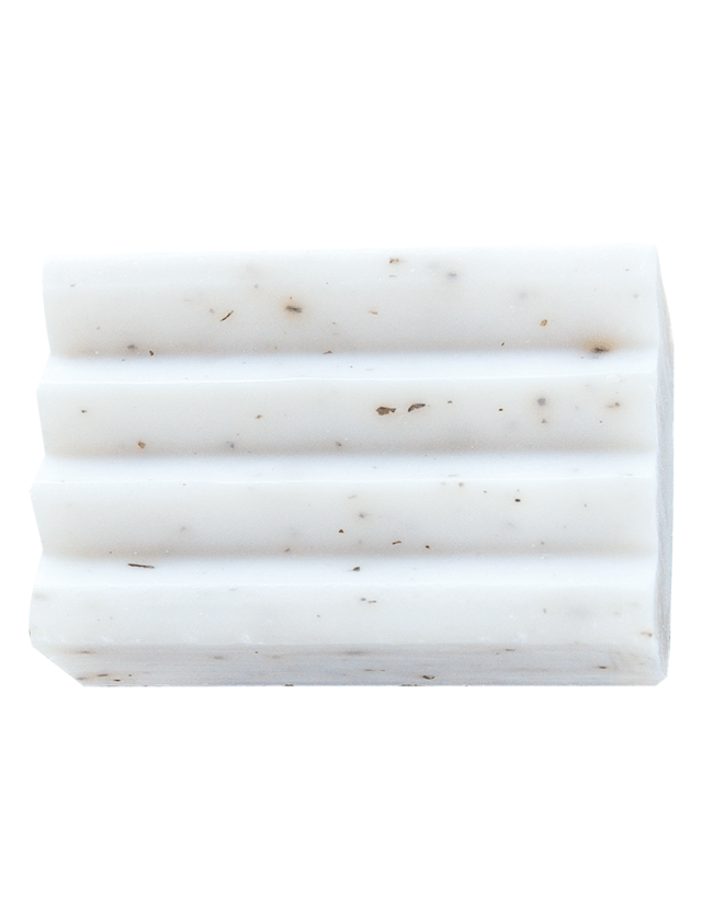 Savon Probiotique