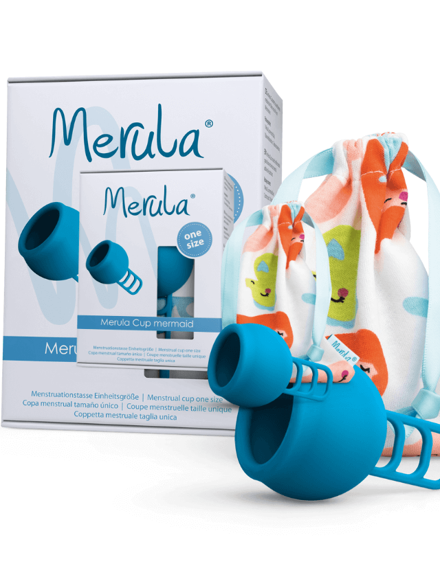 Cup Merula Médium