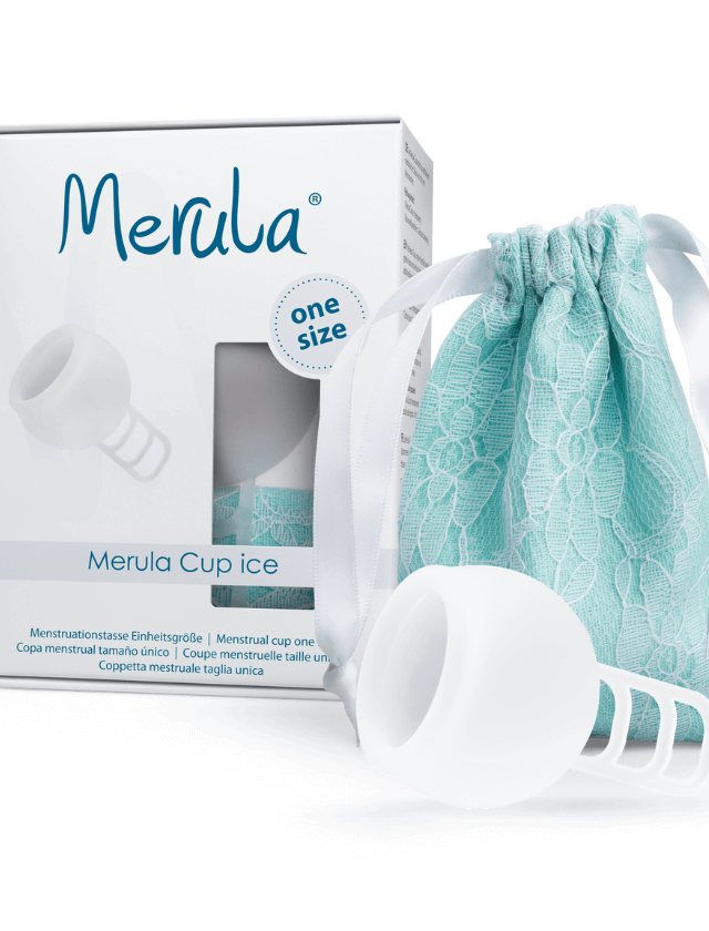 Merula Médium