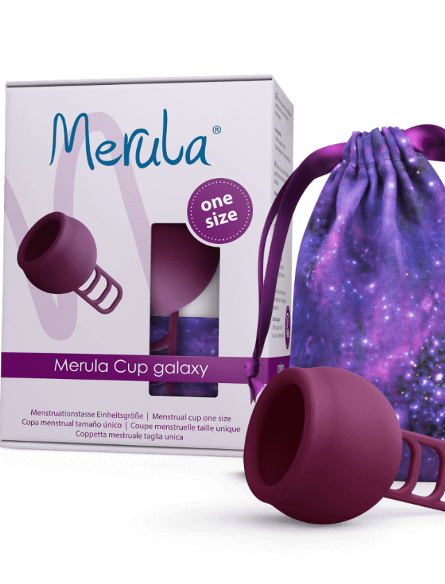 Cup Merula Médium