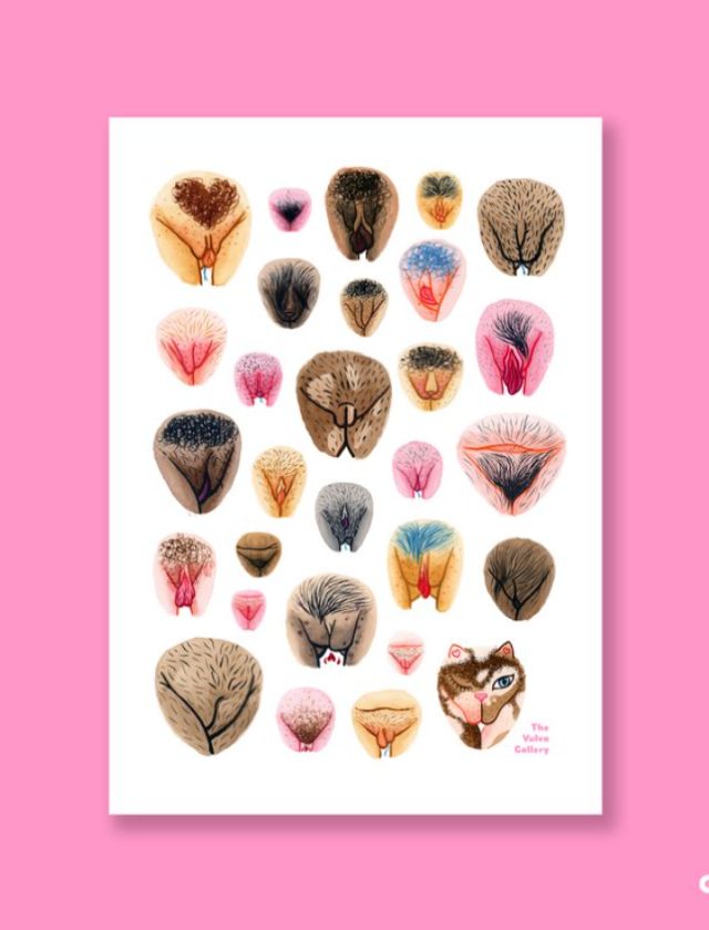 Poster Vulva Variations